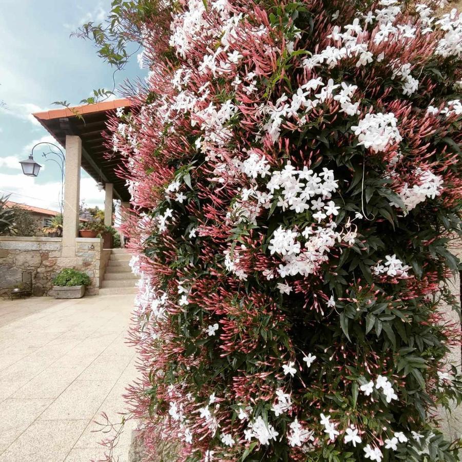 Casas Casal Do Carvalhal - Agroturismo Amares Exterior photo